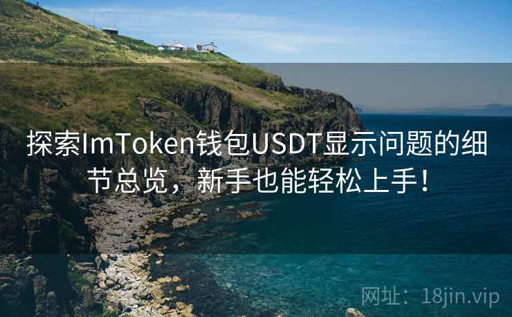 探索ImToken钱包USDT显示问题的细节总览，新手也能轻松上手！